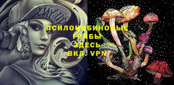 стафф Баксан