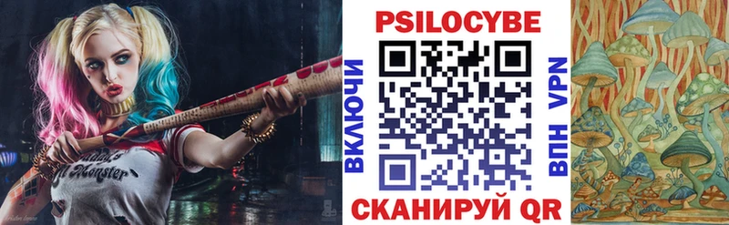 Псилоцибиновые грибы прущие грибы  Аркадак 